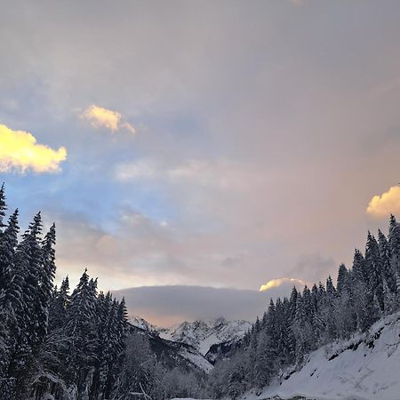 Vila Devana Tatranska Javorina Kültér fotó